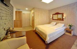 Курортные отели Willa Magnat Шклярска-Поремба Двухместный номер с 2 отдельными кроватями-3